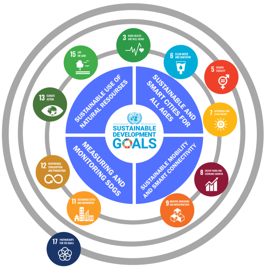 The UN Sustainable Development Goals wheel