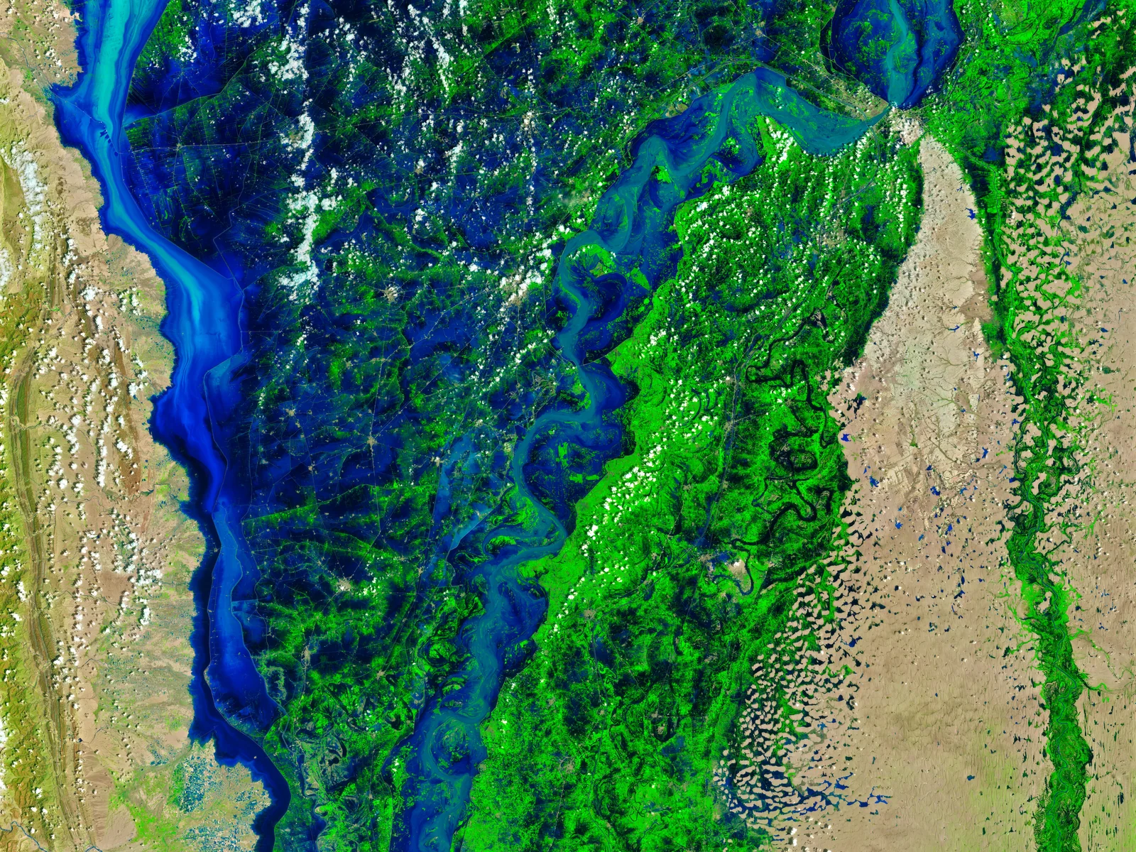 Landsat false-colour image of the flooded Indus, 28 August 2022 — floodwater shows as deep blue beyond the river's normal channel