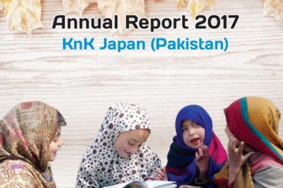 KnK Japan Annual Report 2017