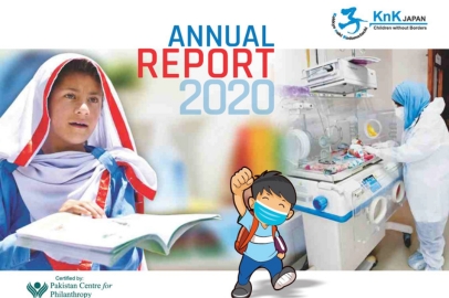 KnK Japan Annual Report 2020