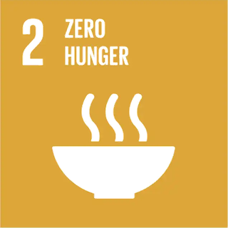 Sustainable Development Goal 2: Zero Hunger