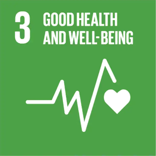 Sustainable Development Goal 3: Good Health and Well-being