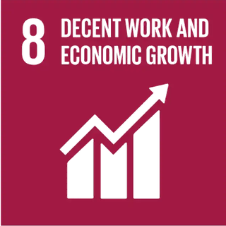 Sustainable Development Goal 8: Decent Work and Economic Growth