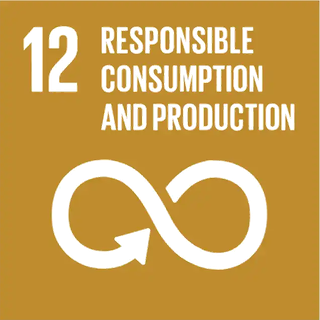 Sustainable Development Goal 12: Responsible Consumption and Production