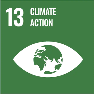 Sustainable Development Goal 13: Climate Action